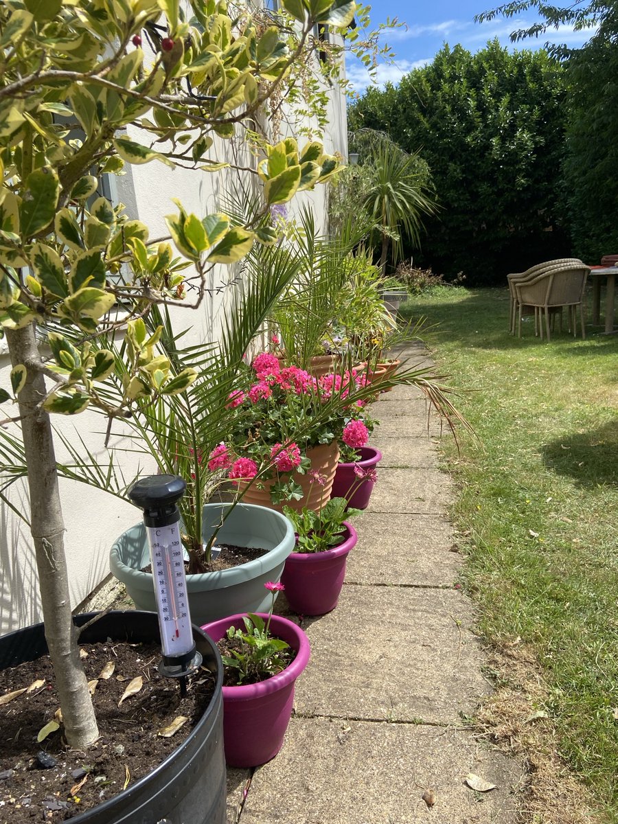 Liz Kershaw tweet media