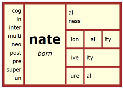 I love this matrix both for meaning and spelling. This is a great one for spelling.

nate + ion = nation (drop the e when adding vowel suffix)

pre + nate + al = prenatal (drop the e when adding vowel suffix)

nate + ure + al = natural (drop e in base and in suffix ure)