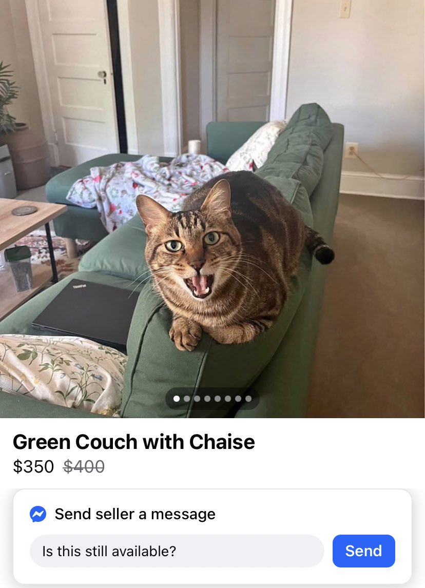 I’m noticing a theme.