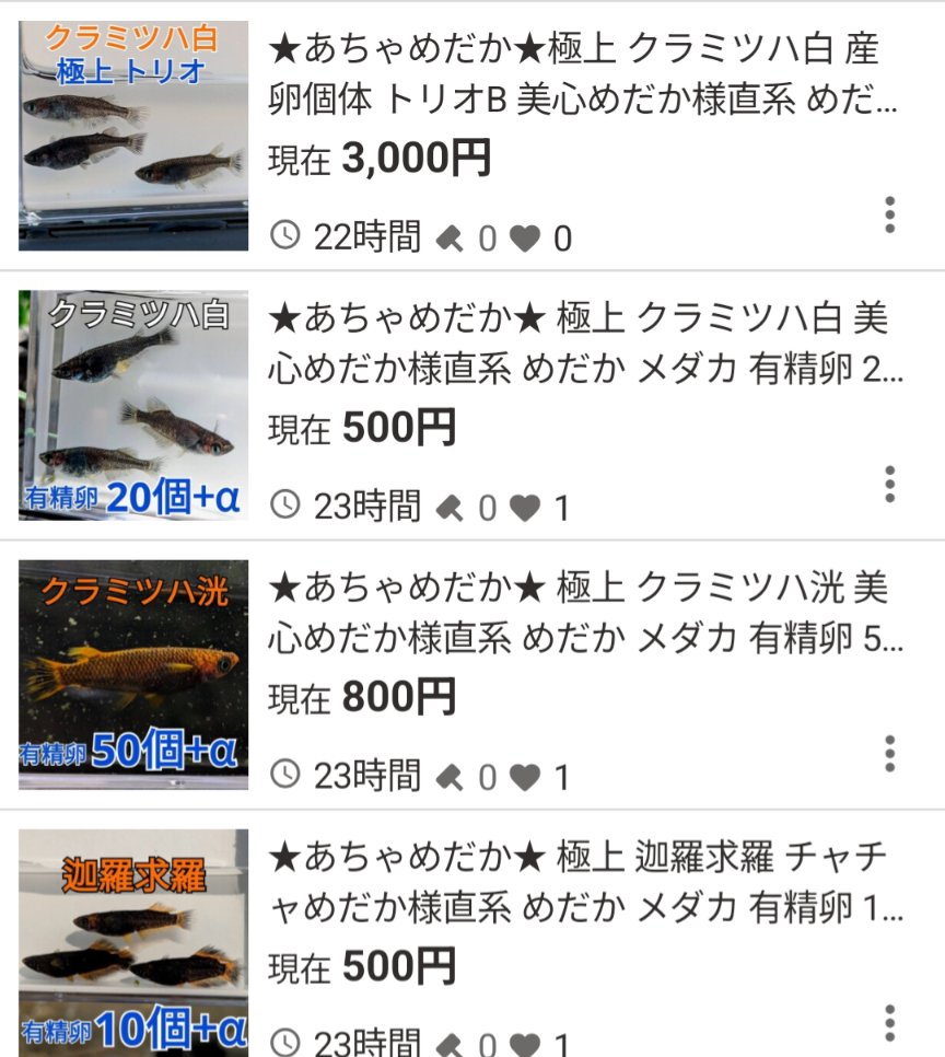acya_medaka's tweet photo. 本日色々出品しております🤍諸事情ありしばらくの間出品出来ないと思います！この機会にぜひ🙇‍♀️🫧🫧 https://t.co/lTph3VXz7m