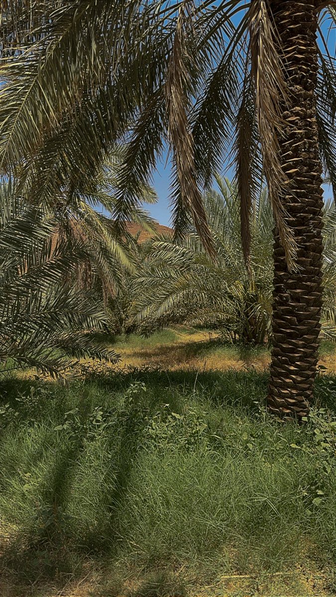3rrttt's tweet image. 