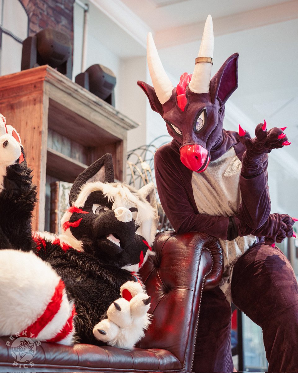 DovDragon's tweet image. 🐺: I think I'm a Wolf
🐉: How does that make you feel?
🐺: Like... an Anime Protagonist?
📸: Perky's Pics
#FursuitFriday #Fursuit #furries