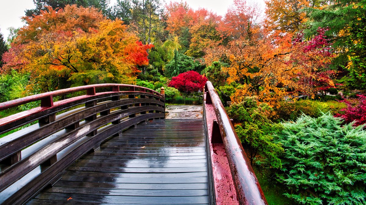 TrvlTasteTour's tweet image. Gresham, OR is your stress-free basecamp for Oregon adventures! Hike with views of Mt. Hood 🌄, eat your way around global cuisines 🍜, catch summer concerts 🎶 &amp;amp; fish the Columbia River 🎣. Just east of Portland—no meters, all charm!
#VisitGresham #ExploreOregon #PNWTravel