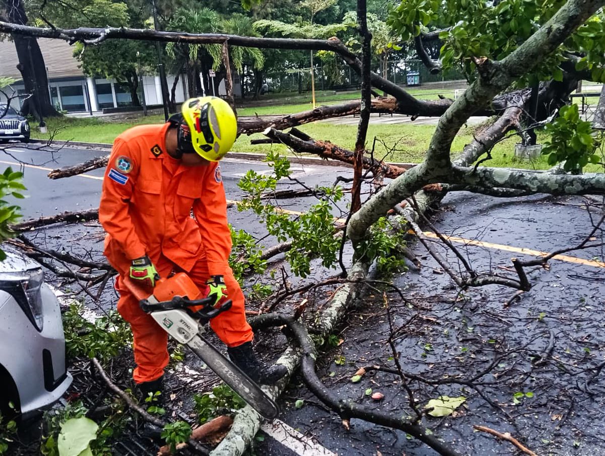 #EstaMañaba |  El Cuerpo de <a href="/BomberosSV/">Bomberos El Salvador 🧑‍🚒🚒🇸🇻</a> informó sobre la caída de un árbol en la 6ª-10ª Calle Poniente, frente al Gimnasio Adolfo Pineda. Los equipos de la institución trabajaron para retirar las ramas y restablecer el tráfico en la zona.