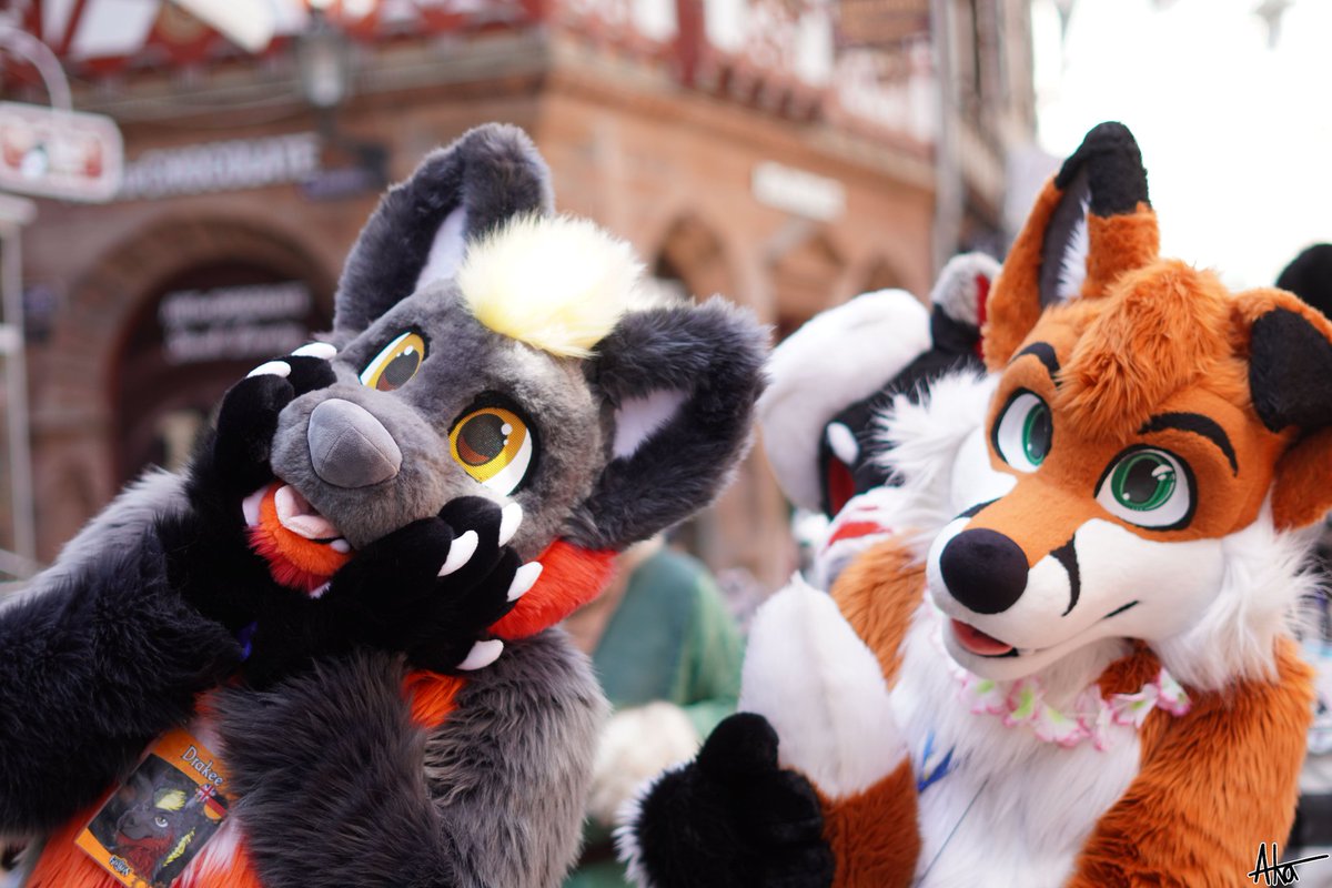 Drakee (@darkdrakee) on Twitter photo "Hey <a href="/Fursurfer1/">Fursurfer</a>, look, someone wants too shoot a #FursuitFriday picture! Let's act cute!"
📸 <a href="/Cuddled_Carnage/">𝓐𝓴𝓪 ♢ Bantal/ Adjagus</a>
✂️ <a href="/VarrosCreations/">Varro's Creations</a>, <a href="/Fionka_Fursuits/">🐈 Fionka Fursuits 🐈</a>
📌 Marburg Fursuitwalk June 14 2025 "Hey <a href="/Fursurfer1/">Fursurfer</a>, look, someone wants too shoot a #FursuitFriday picture! Let's act cute!"
📸 <a href="/Cuddled_Carnage/">𝓐𝓴𝓪 ♢ Bantal/ Adjagus</a>
✂️ <a href="/VarrosCreations/">Varro's Creations</a>, <a href="/Fionka_Fursuits/">🐈 Fionka Fursuits 🐈</a>
📌 Marburg Fursuitwalk June 14 2025