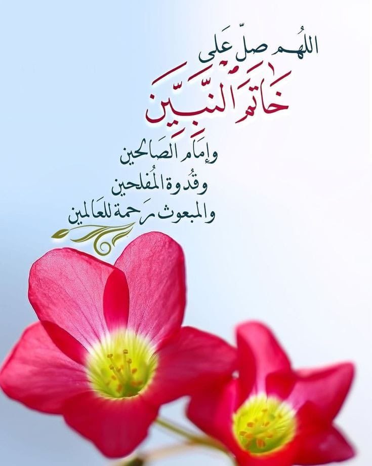Layali1355's tweet photo. *
💐٠٠إن شئتَ غُفرانَ الذُّنوبِ عُمومَا
أو شئتَ أَن تُكفى أَذَىً و هُمُومَا
*
فاعمل بقولِ اللهِ في قُرآنِه
صلُّوا عليه وسلِّموا تَسليمَا
*
صلَّى عليكَ اللهُ يامن ذِكـرُهُ
طِـبٌّ يُداوي في الفؤادِ كُلُومَا
اللهّم
صلّ وسلم على نبينا محمد ﷺ
وعلى آله وصحبه الأطهار٠٠💐
*
#طيوف_الأحبه https://t.co/i9x7WscCwY