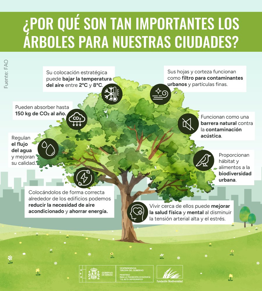 🌳 Los árboles hacen de la ciudad un lugar más saludable, habitable y fresco.

Te contamos 8⃣ grandes beneficios de los árboles urbanos 👇👇👇

#DíaMundialDelÁrbol