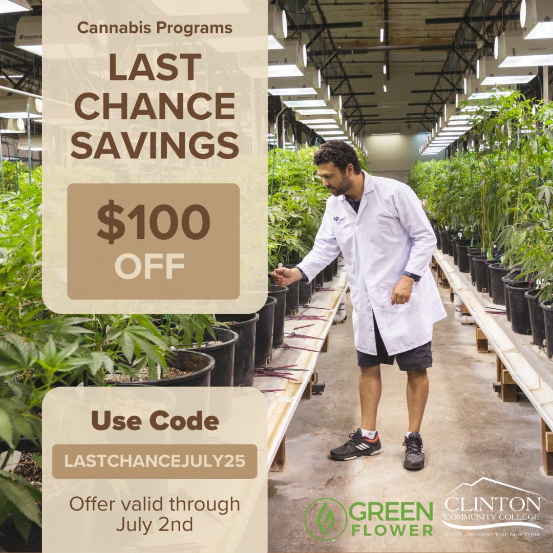 🌿 Last Chance July!

Get $100 off our online Cannabis Program with code LASTCHANCEJULY25 — now through Monday, July 2!

Start your journey in the growing cannabis industry today.
🔗 Learn more: cannabis.clinton.edu