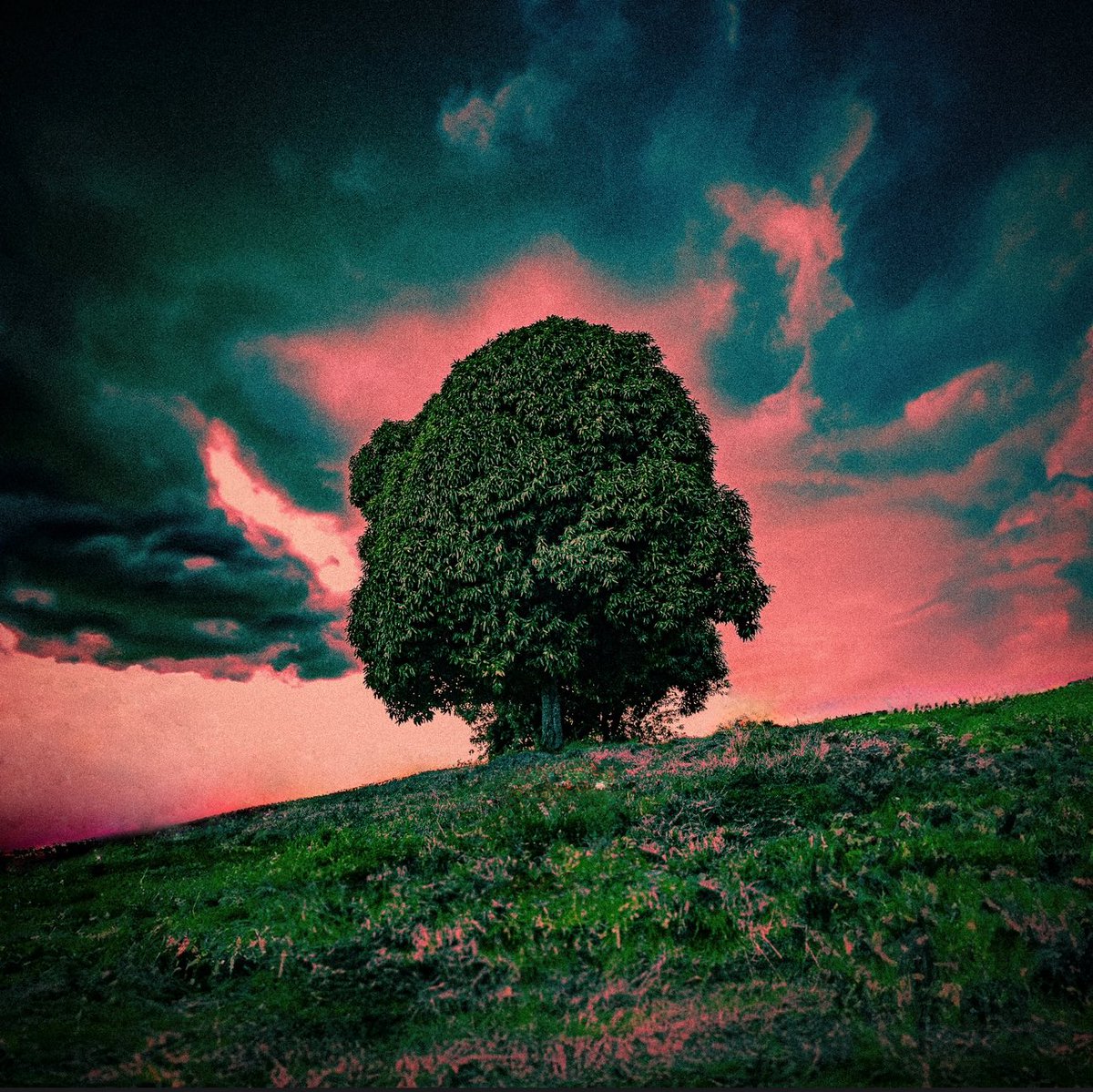 J Rochet tweet media