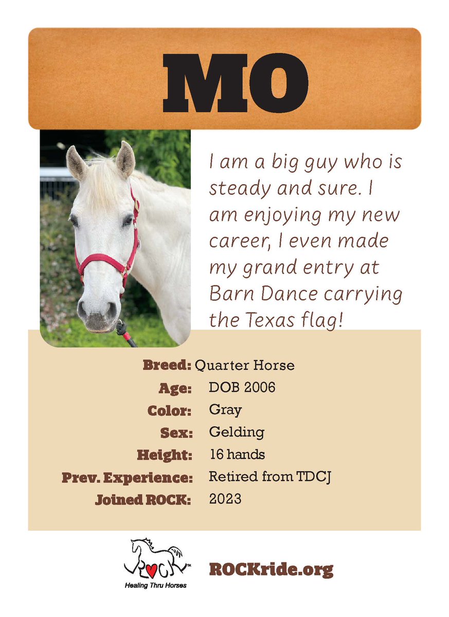 Meet Lee and Mo! The SpawGlass-Austin team is excited to sponsor these two horses this year at ROCK Ride On Center for Kids with a donation of $20,000 raised from the 2025 #SGAustin Sporting Clays Shoot!

#SGBuildsCommunities #CommunityContractor