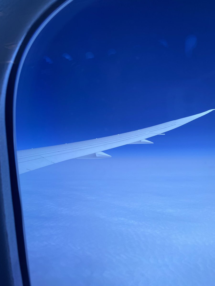 JaneCorryAuthor's tweet image. Just flown into Toronto to speak at MOTIVE literary festival!
Meanwhile, if you’re going shopping, please look out for
The Stranger In Room Six in bookshops, supermarkets – £3.50 at Tesco – and online. Here’s a buying link if you’d like it. amzn.eu/d/iSlwJXB