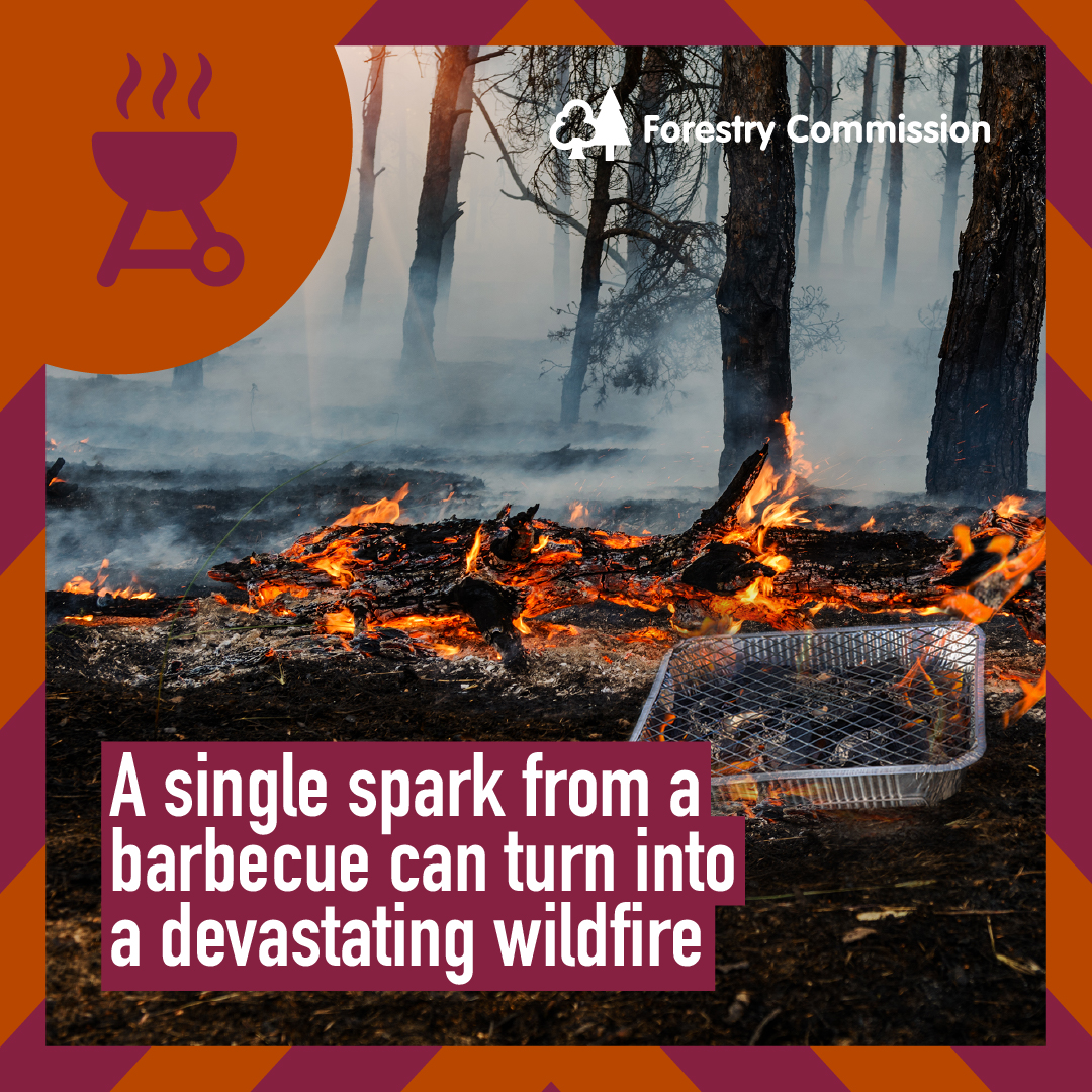 With temperatures predicted to continue rising into the weekend and a severe wildfire warning issued across parts of England, please #BeWildfireAware.
 
Plan a picnic instead of a BBQ and take all litter home. If you discover a wildfire get to a safe place and call 999.