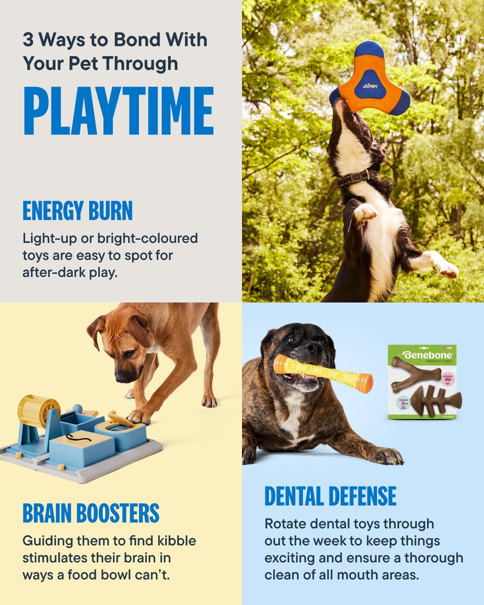 Pet Valu tweet media
