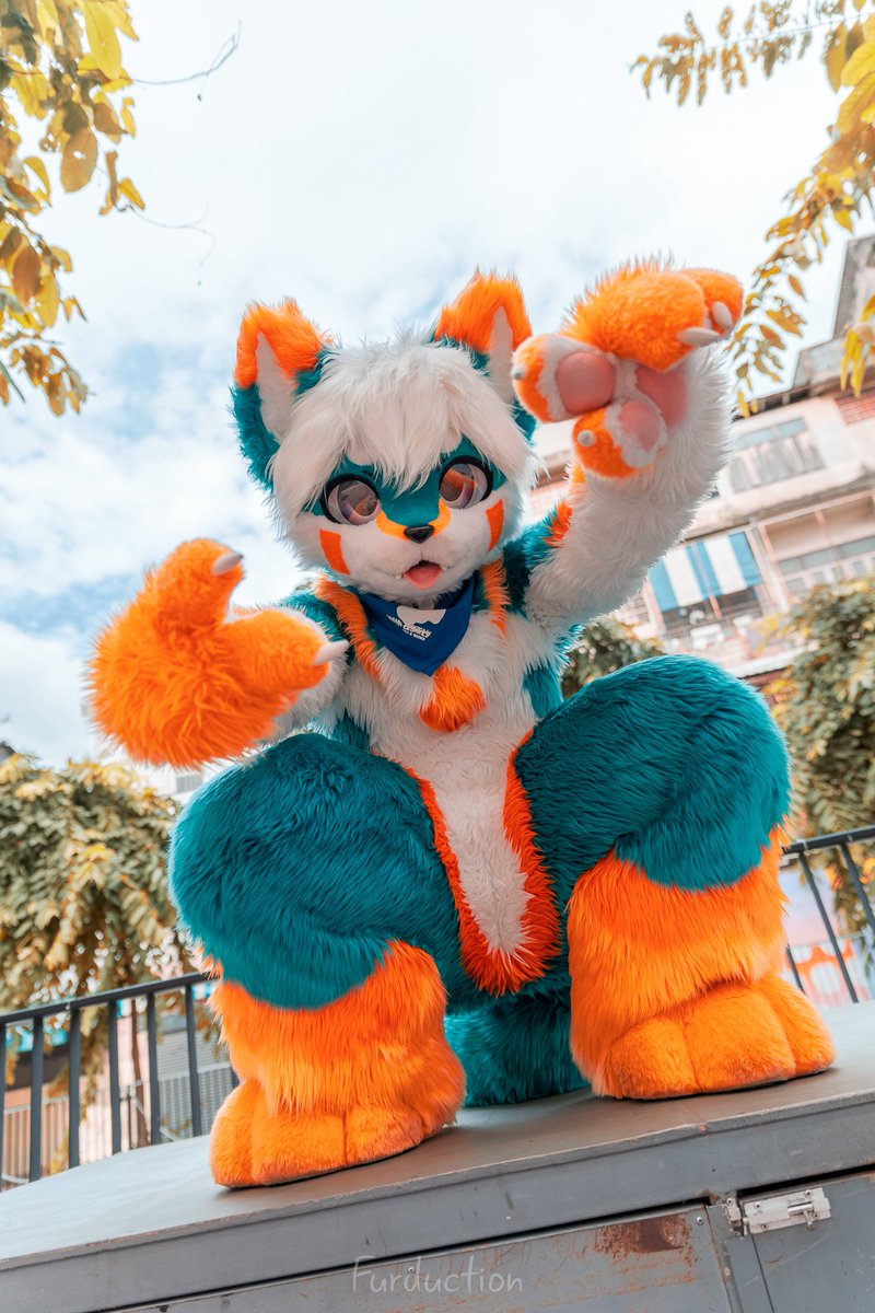 Felix|Chestnafox 🔜 🇹🇭 Thaitails 2026 tweet media