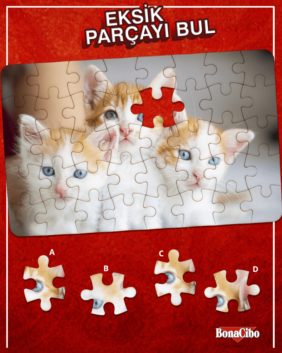 Bütün parçalar yerli yerinde… Bir tanesi hariç! 😻 Yapbozu tamamlayacak olan parça hangisi, tahmin et! 🧩