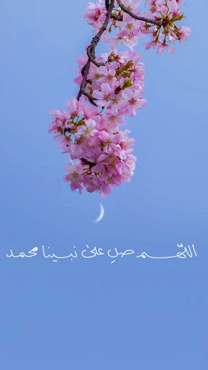 ﴿ إِنَّ ﷲ وَمَلاَ ئِكَتَهُ يُصَلُّونَ عَلَى النَّبِيِّ يَا أَيُهَا الِّذِينَ آمَنُو صَلُّوا عَلَيهِ وَسَلِّمُوا تَسلِيمًا ﴾

اللهمّ صلّ وسلم على نبينا محمد وعلى آله وصحبه اجمعين🤍

#يوم_الجمعة 
#الصلاه_علي_النبي