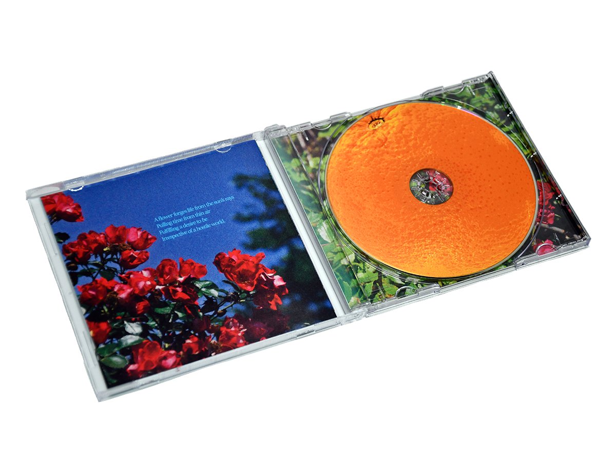 Just released a CD for Conversion of Light on Bandcamp!
alikhoigama.bandcamp.com/album/conversi…