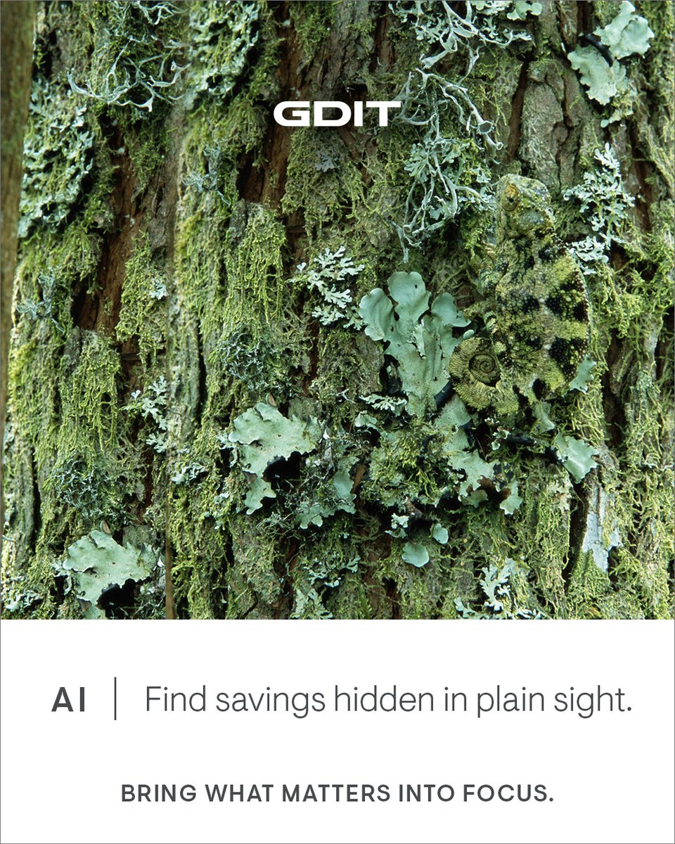 Savings often hide in plain sight – buried in duplicate processes and overlooked data. Partnering with agencies, GDIT uses AI to uncover those gaps and turn wasted spend into mission value. Learn more at gdit.com/ai.
