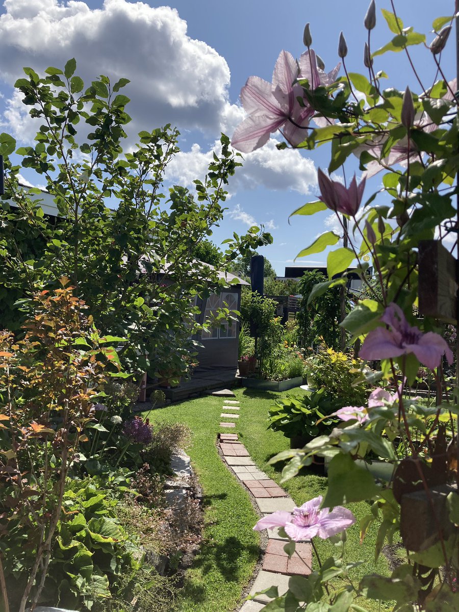 Så har æ vassa i skjønnhet. Kolonihagen i Kristiansand.