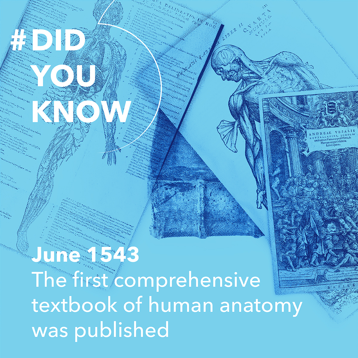 CytoSorbents (@cytosorbents) on Twitter photo Did you know that "De humani corporis fabrica libri septem"or"The Seven Books on the Structure of the Human Body",commonly known as the "Fabrica", is widely considered the first comprehensive textbook of human anatomy?It was written by the Andreas Vesalius&published in June 1543. Did you know that "De humani corporis fabrica libri septem"or"The Seven Books on the Structure of the Human Body",commonly known as the "Fabrica", is widely considered the first comprehensive textbook of human anatomy?It was written by the Andreas Vesalius&published in June 1543.