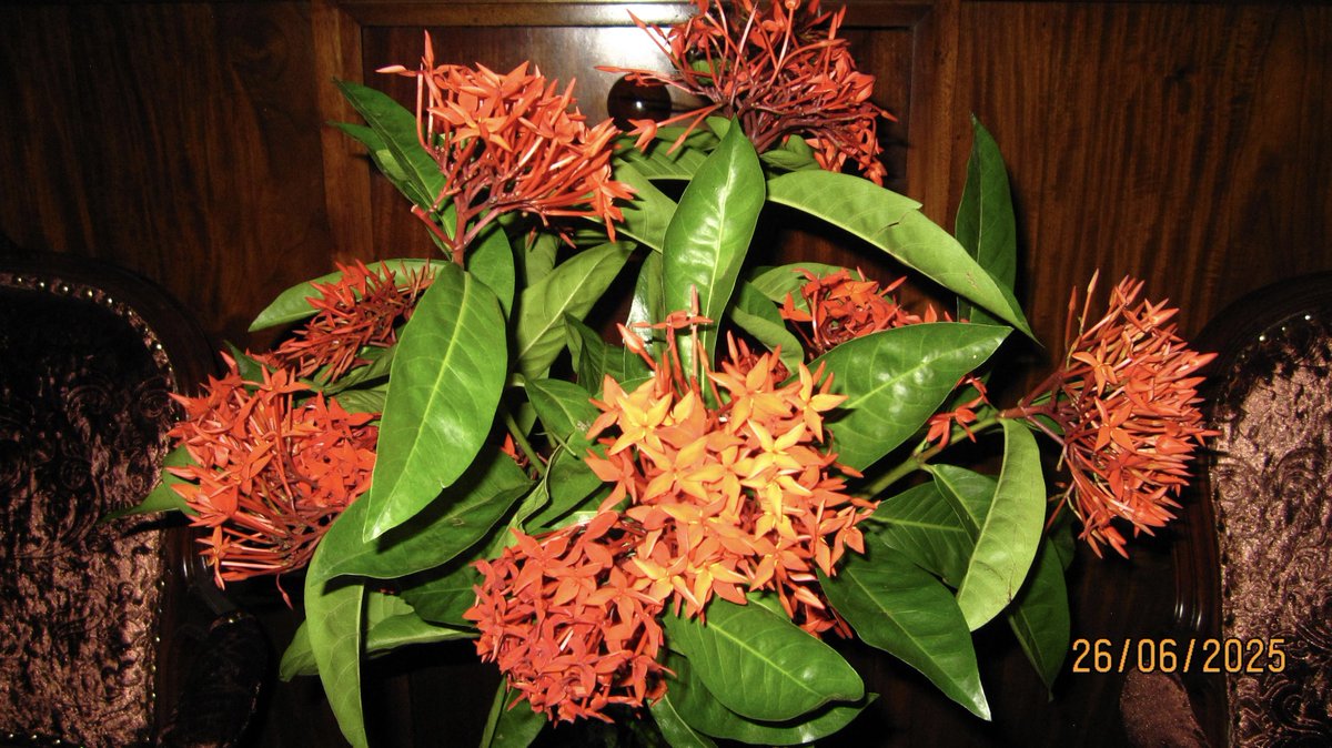 Did some cooking and snacking 🍛