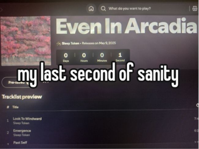 c𝄞 🦭 tweet media