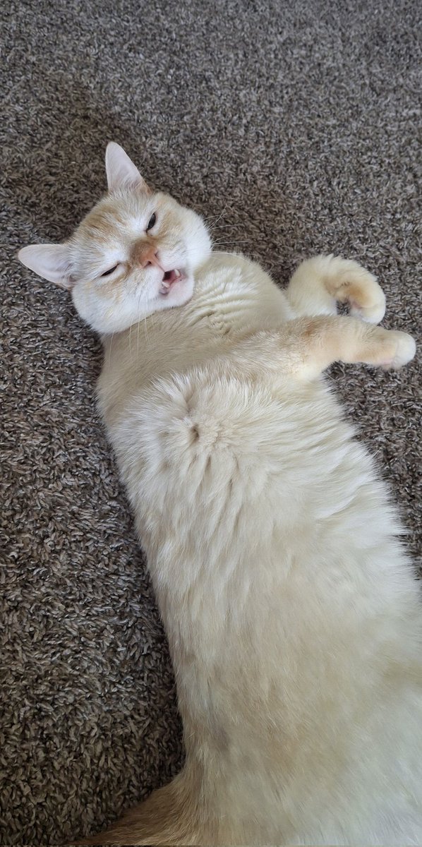 happy long baby dog friday