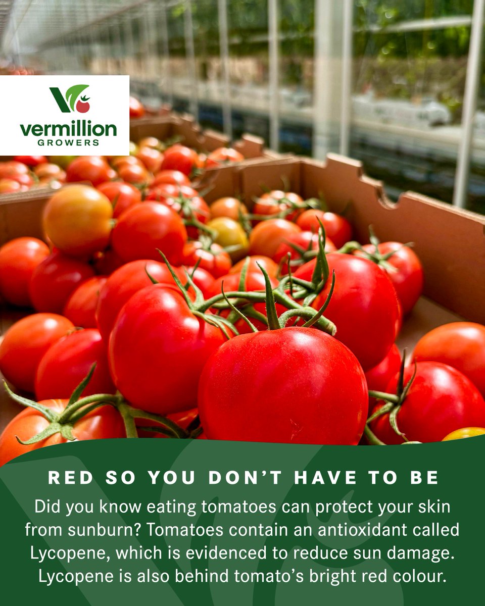 Lycopene is most abundant in cooked or concentrated tomato products, like tomato paste and sun-dried tomatoes. Guava, watermelon, and red bell peppers are also a source of Lycopene (you guessed it, Lycopene is also what gives those fruits and veggies their pink &amp; red colours).