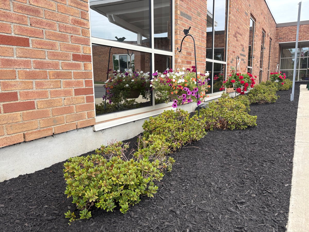 GrasshopperGrdn's tweet photo. 🌿 A little mulch goes a long way! Our team refreshed the mulch beds at Shaker Place with our trusty mulch blower. Keeping your business grounds healthy and beautiful is our mission.

#grasshoppergardens #albanyny #landscape #mulching https://t.co/nFDeJG8Glr