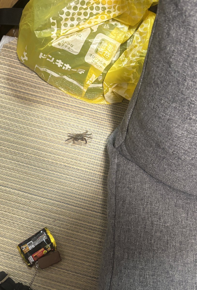 は？家の中にカニ居たんだけど！？？？？
