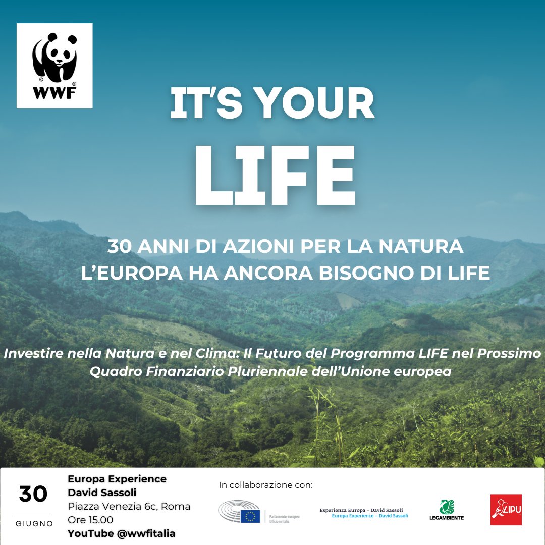 LIFEprogrammeIT's tweet image. Evento “It’s your LIFE! Investire nella Natura e nel Clima: il Futuro del Programma LIFE nel prossimo Quadro Finanziario Pluriennale dell’UE” (Roma, 30 giugno 2025)
mase.gov.it/portale/notizi…
@LIFEprogramme #LIFEProgramme #LIFEprojects #LIFEproject