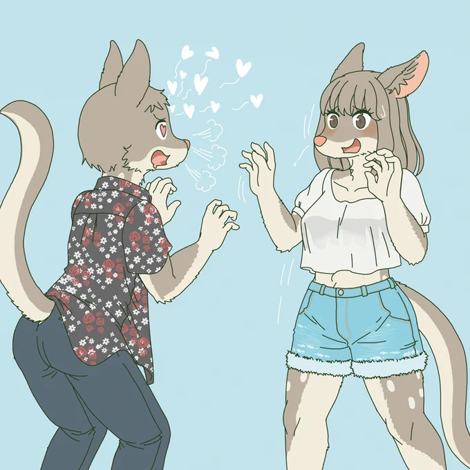 ヒメフクロネコの雄は積極的すぎる