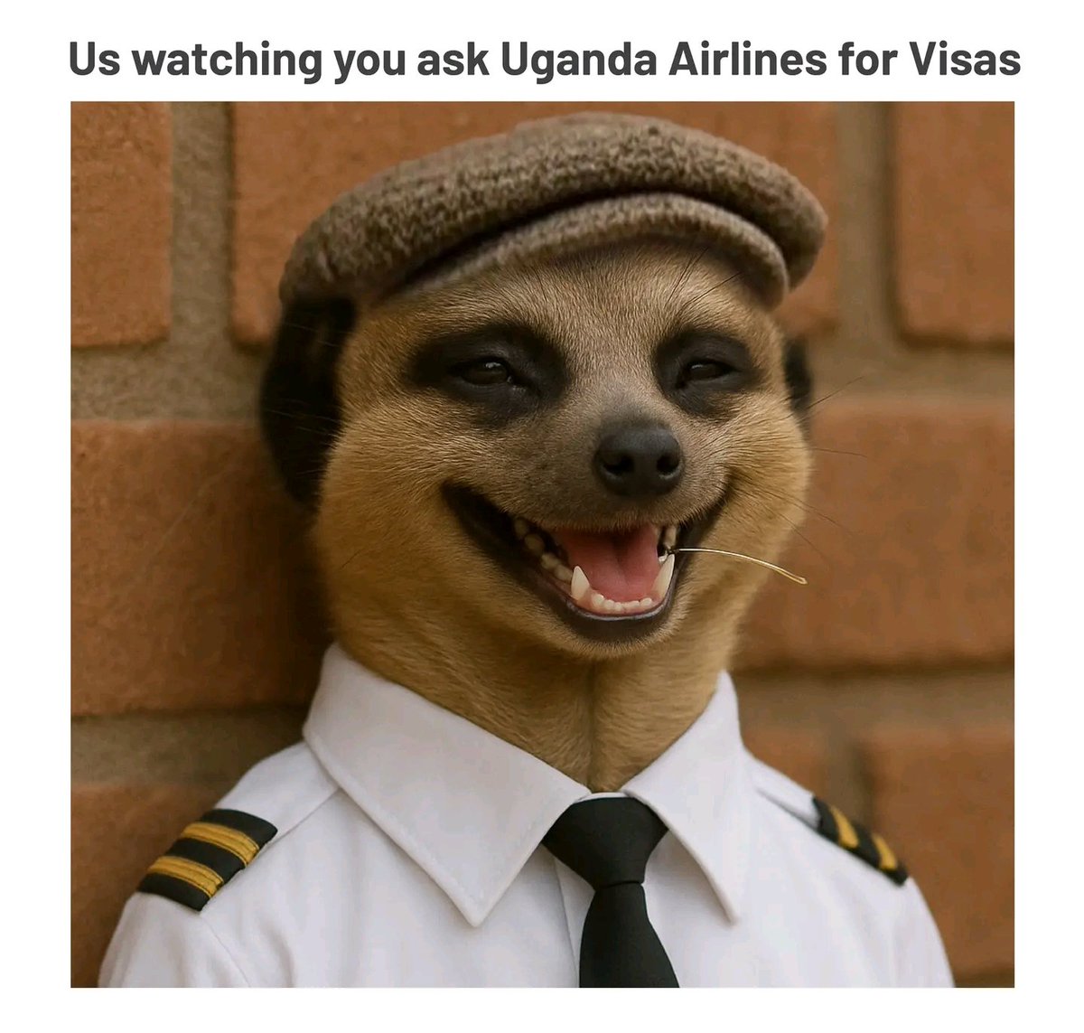 It's getting close to the Weekend, Let's plan our  trips To London folks. 
👇🤏🤣