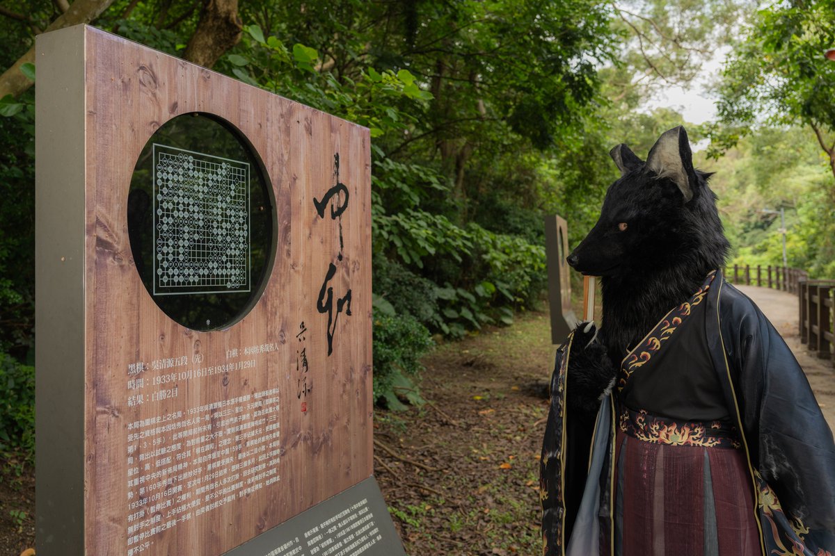 中和之道，六合之棋。   

攝影：<a href="/Take82168451/">Hoshita Kesora 竹子 🐾UTFG</a>
#FursuitFriday