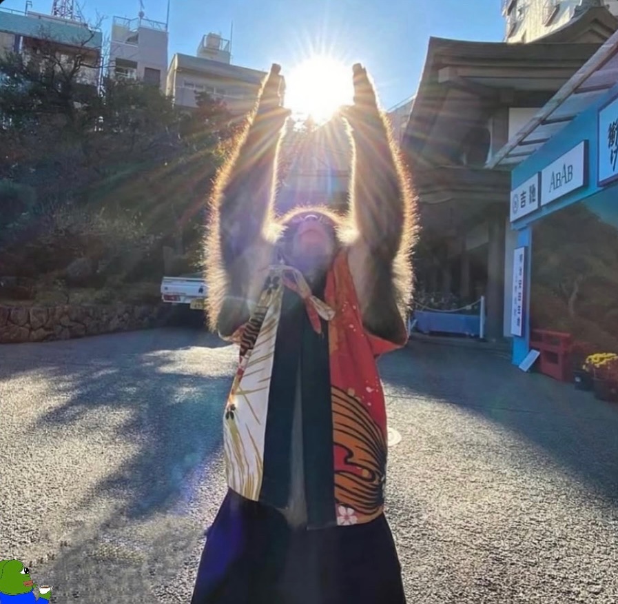I‘m the chosen ape 🐒☀️

Have a nice weekend $Sui community 

~ every meme holds a dream 💭