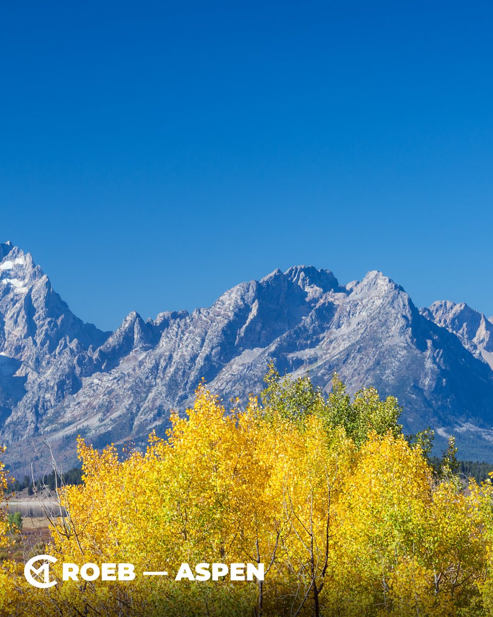 cmroeb's tweet image. 🏔️ BRB, moving into a cabin and becoming a full-time mountain person.
 🏞️ Best Hikes in Aspen — 💡 Pro Tip: Hike to Cathedral Lake or Crater Lake! Stunning alpine lakes with breathtaking mountain views !
 #HikingAspen #ColoradoTrails #OutdoorEscape #AspenAdventures