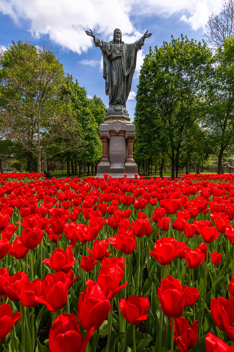 "Venite ad me omnes" — Come to me, all of you

On the Solemnity of the Sacred Heart, we reflect on Jesus' call to lead with love and build a beloved community where all are welcome.