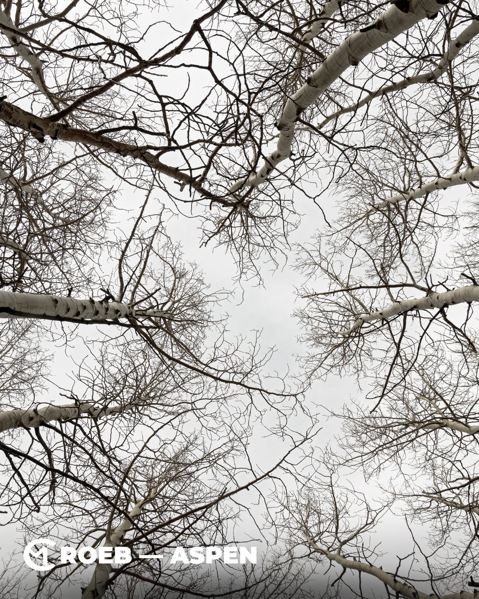 cmroeb's tweet image. 🏔️ BRB, moving into a cabin and becoming a full-time mountain person.
 🏞️ Best Hikes in Aspen — 💡 Pro Tip: Hike to Cathedral Lake or Crater Lake! Stunning alpine lakes with breathtaking mountain views !
 #HikingAspen #ColoradoTrails #OutdoorEscape #AspenAdventures