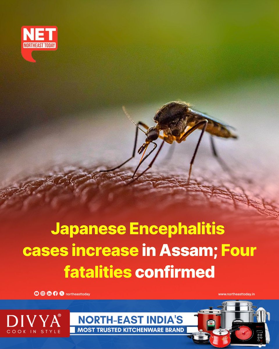 NortheastToday's tweet image. #NetSnippet | Assam is witnessing a rise in Japanese Encephalitis (JE) cases, with 32 patients admitted to Gauhati Medical College and Hospital (GMCH) and four confirmed deaths, hospital authorities reported.

Read more..
northeasttoday.in/northeast/assa…

#JapaneseEncephalitis #newcases
