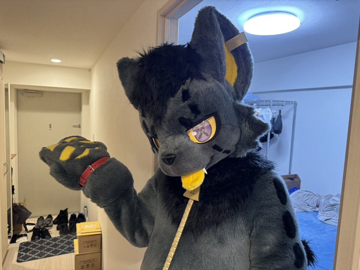 您好客人，出去的门在那里，什么？你问我身后？那个qwq这里不可以进的
 #FursuitFriday