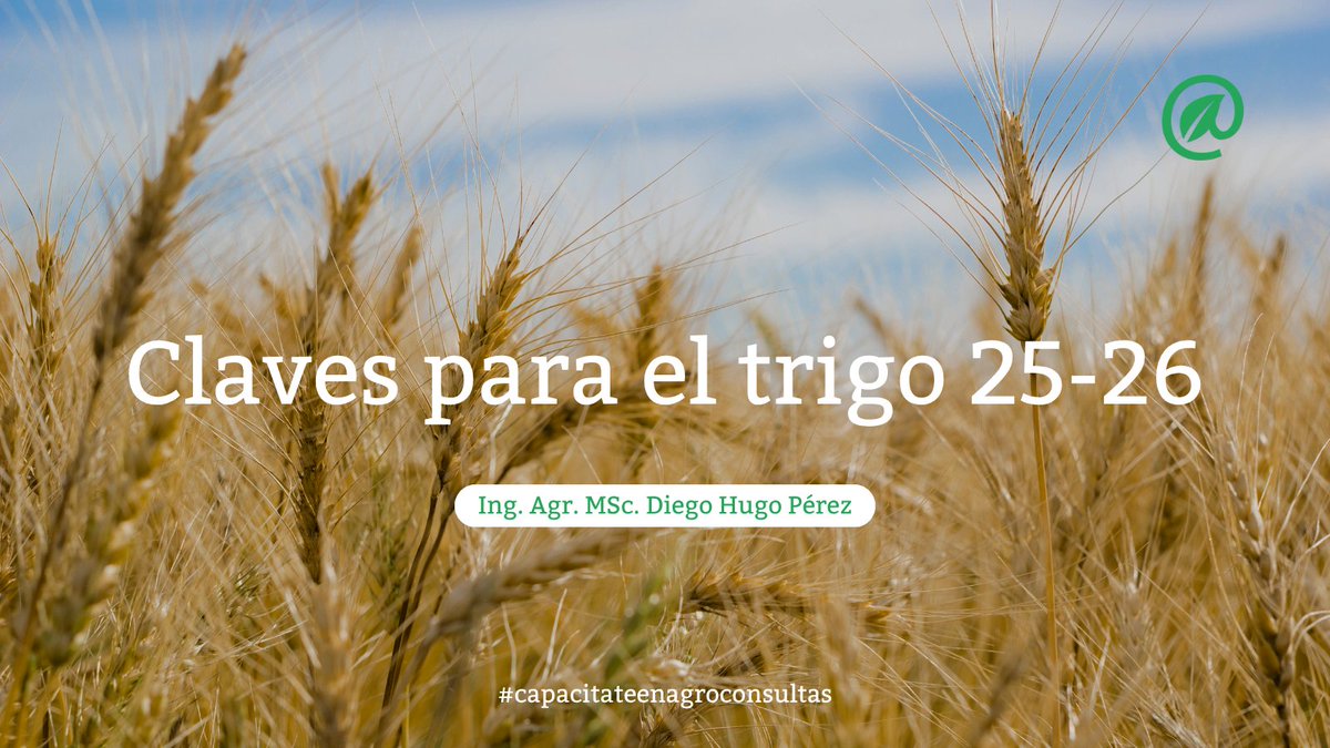 Información práctica y actualizada para tomar mejores decisiones 🌾🚀

🙋🏼A cargo de Ing. Agr. MSc. Diego Hugo Pérez

🌾 Planificación estratégica del cultivo de trigo para la campaña 2025-26

Mirala donde, cómo y cuando quieras 👨🏻‍💻

👉🏻 agroconsultas.online/CmMQk1
