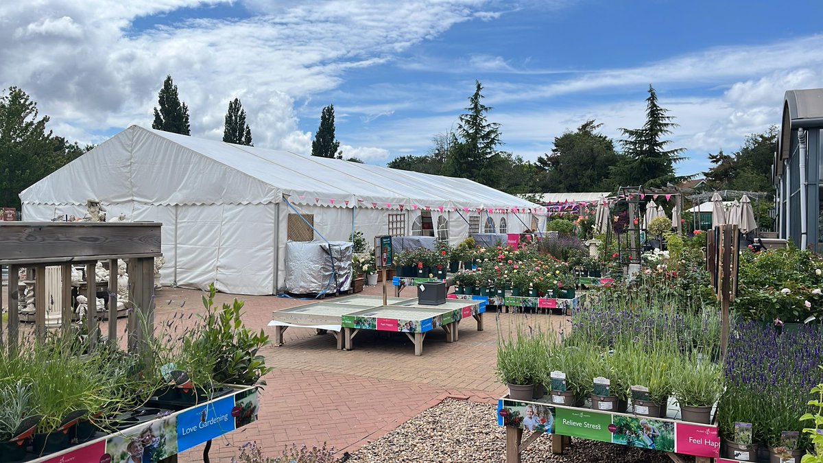 Set up for our Rose Festival this weekend is underway - whose joining us? 

What you can expect:

🌹Stunning rose displays
🌺Floral art
🍖BBQ demos
🎷Live music
🍴Food &amp; drink 

Sat 28 June – 12.30pm - 5pm
Sun 29 June – 10.30am - 4.30pm

📍Squire’s Shepperton, TW17 8SG