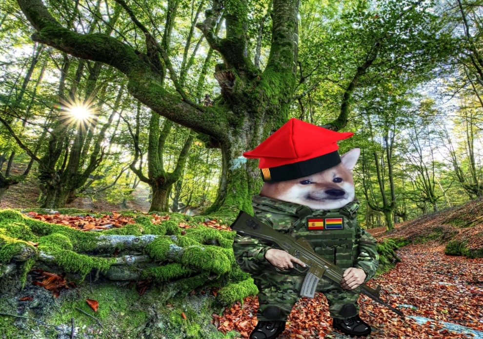 UkrDib72080's tweet image. Hace poco más de un año me abrí esta cuenta y descubrí una comunidad excepcional. Al poco, obtuve mi "fella" y no puedo estar más orgulloso de todos sus miembros, algunos de los cuales son realmente amigos virtuales. Es un placer y un orgullo ser miembro #NAFO