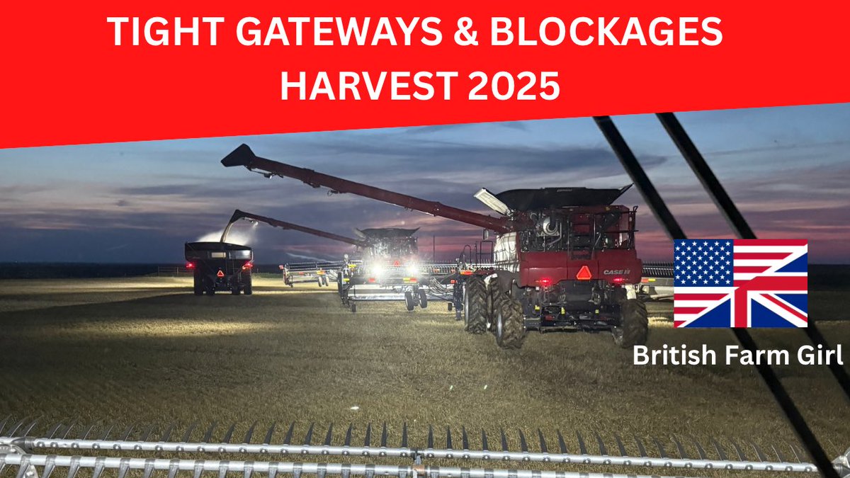LittleBigFarm's tweet image. TIGHT GATEWAYS &amp;amp; BLOCKAGES youtu.be/fNrYzy39MeE?si… via @YouTube