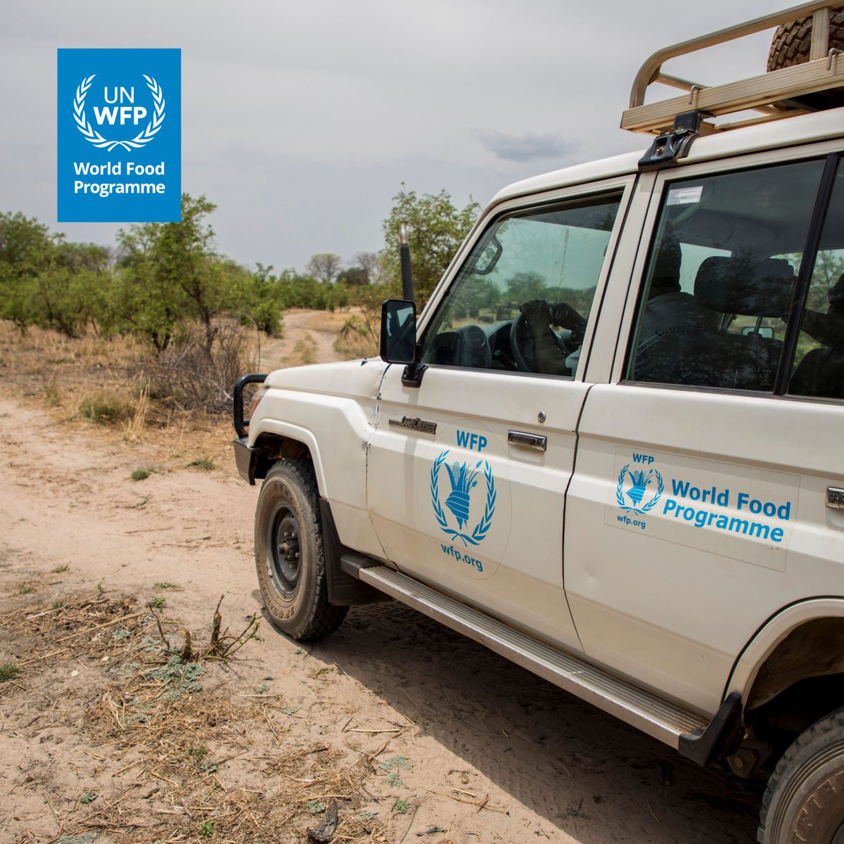 WFP_CAR_CD's tweet image. En route pour construire la résilience ! Cette année encore, le PAM 🇨🇫 met en oeuvre des activités d'assistance alimentaire pour répondre aux besoins immédiats des communautés affectées 🛻 Ensemble luttons contre la faim 🌾
