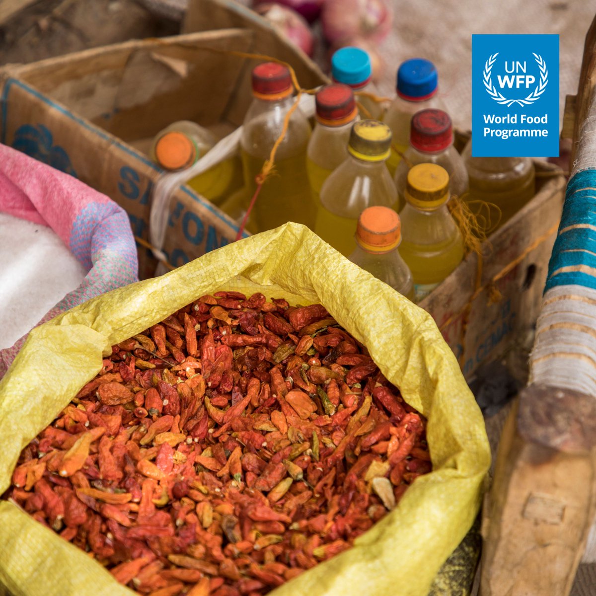 WFP_CAR_CD's tweet image. En route pour construire la résilience ! Cette année encore, le PAM 🇨🇫 met en oeuvre des activités d'assistance alimentaire pour répondre aux besoins immédiats des communautés affectées 🛻 Ensemble luttons contre la faim 🌾