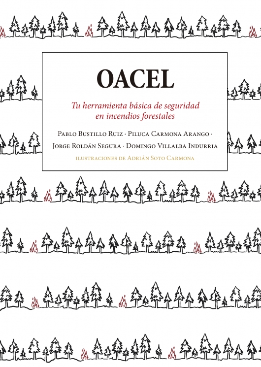 Tenemos el gusto de presentar por vez primera en castellano un libro sobre el protocolo OACEL.
Una propuesta adaptativa, capaz de integrar la evaluación con la anticipación y con la respuesta preparada.
Guías de aplicación, ejercicios, lista de chequeo...
pepitas.net/libro/oacel