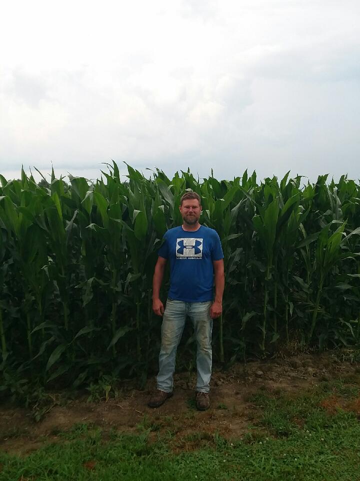 seedgenetics's tweet image. Direct 3113 is looking stellar in Wilkinson, Indiana!