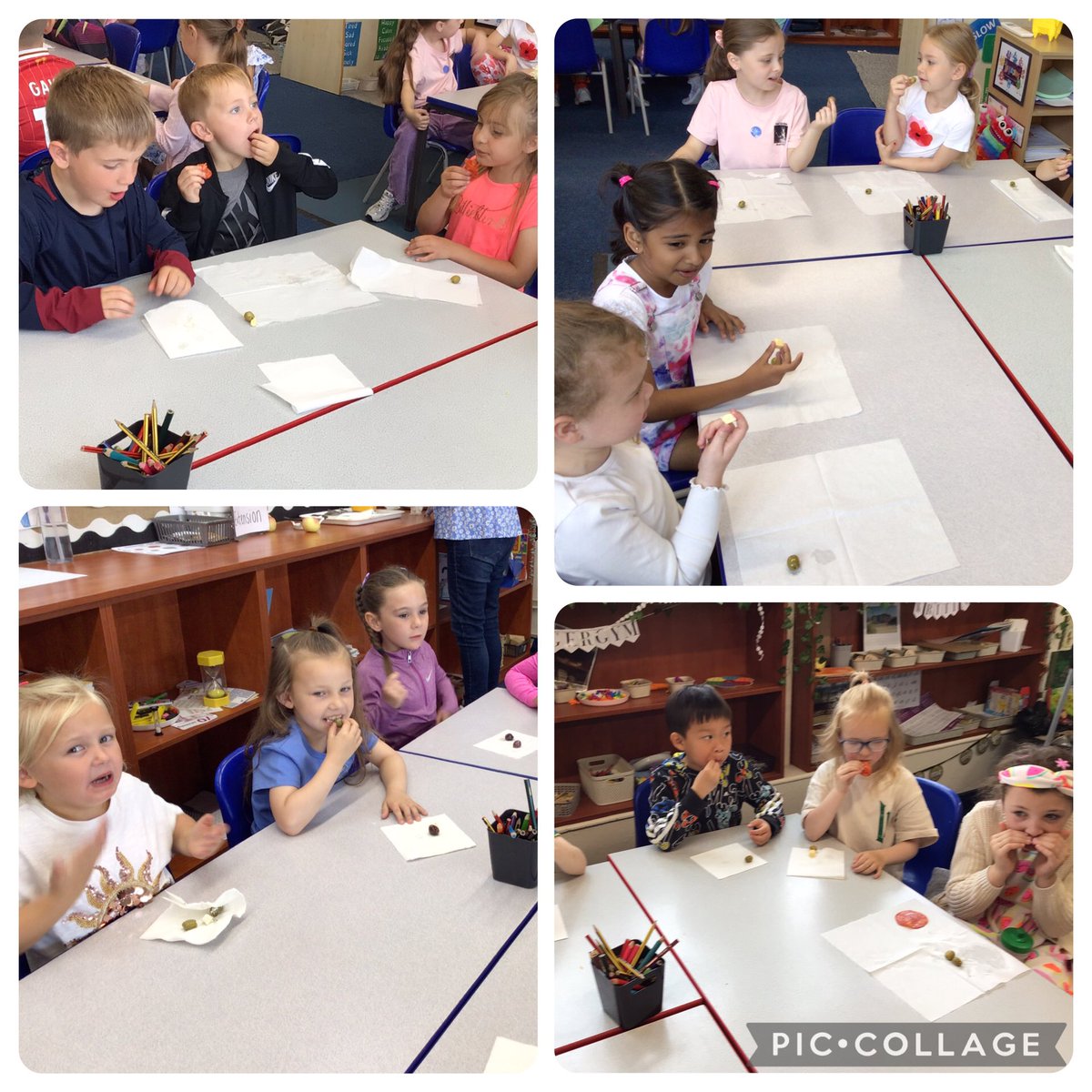 MissIrwinBVP's tweet photo. A fun filled week of Spanish learning while the rest of KS1 have been having lots of fun in CHET! We even finished off our week with tapas tasting 🫒🧀 the olives had mixed opinions 😆 @BelleValeSchool https://t.co/RfmRQBwgq4