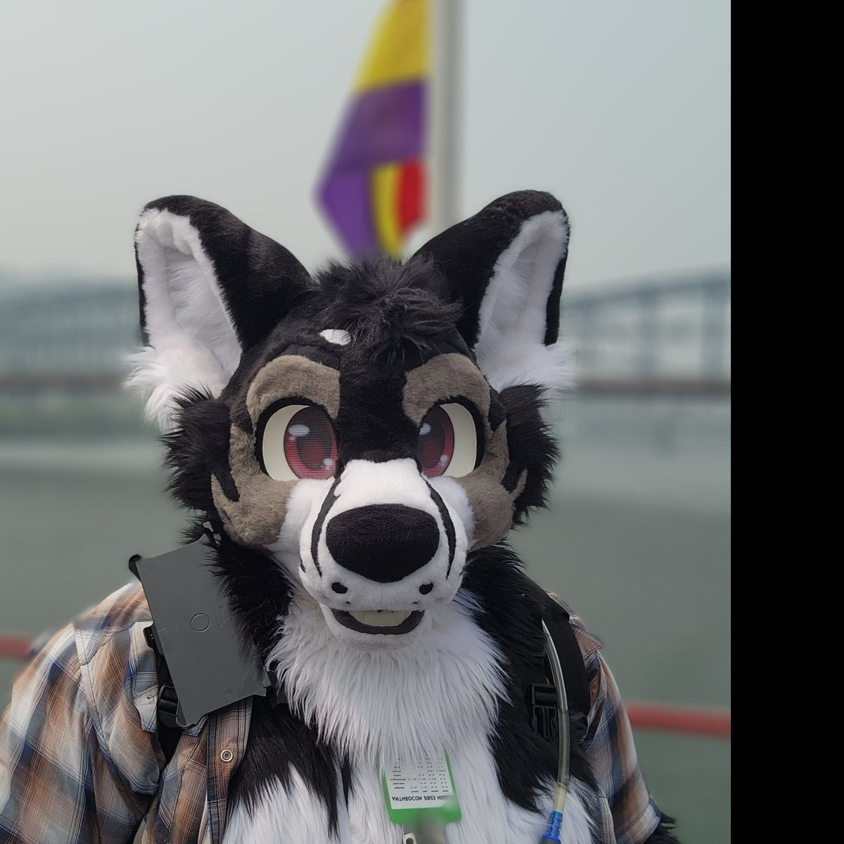 Can't wait to see you all <a href="/anthrocon/">Anthrocon, Inc.</a> next week! Also feel free to stop me anytime to say hello and get hugs!!!